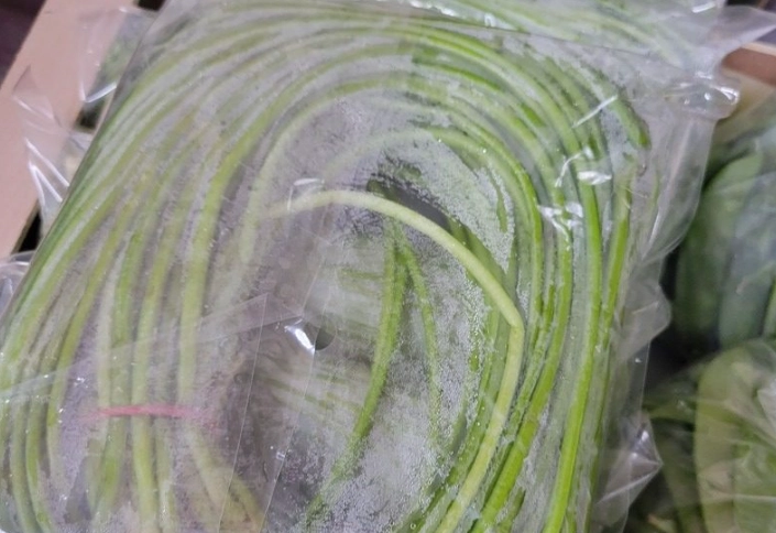 水蓮冷凍保存