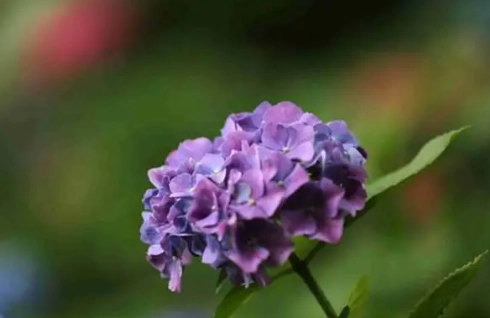 悶根處理 悶根處理