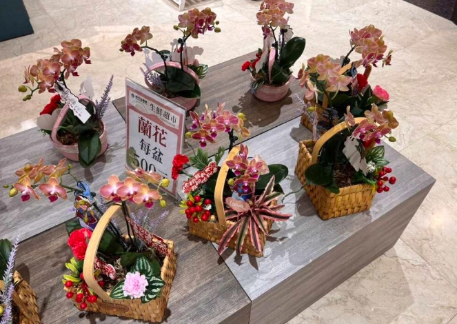 蘭花肥料DIY
