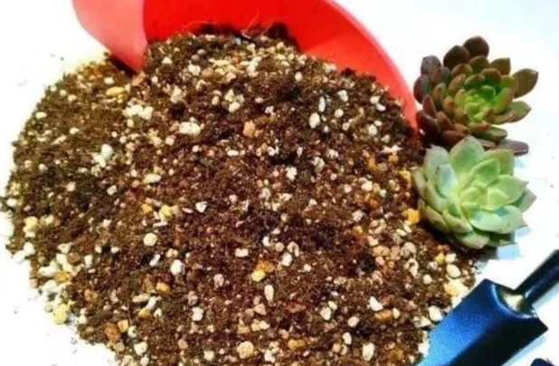 蘭花介質蛭石 蘭花介質蛭石