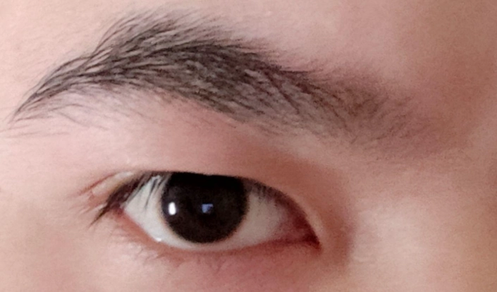 眉毛生長週期