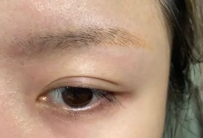 眉毛修剪 眉毛修剪